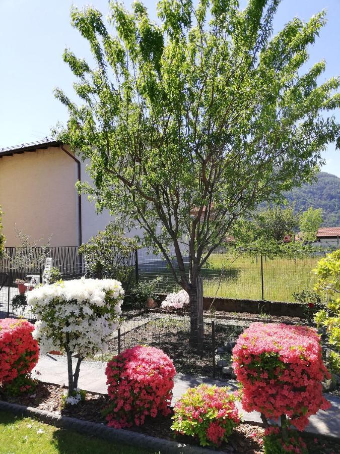 La Rosa Rossa Apartamento Cambiasca Exterior foto